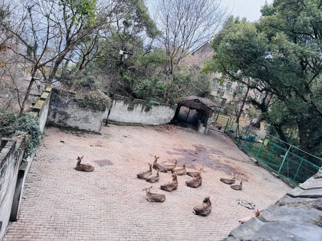 台州府城文化旅游区旅行图片 6