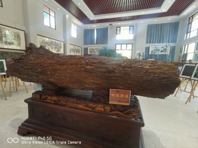 勐巴娜西珍奇园旅行图片 3