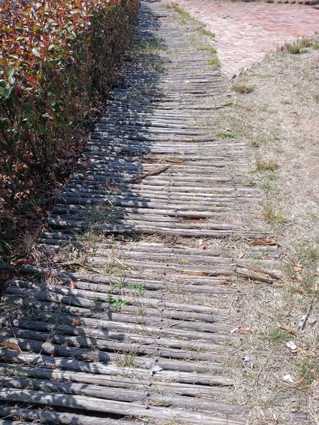 青岛西海岸生态观光园旅行图片 4