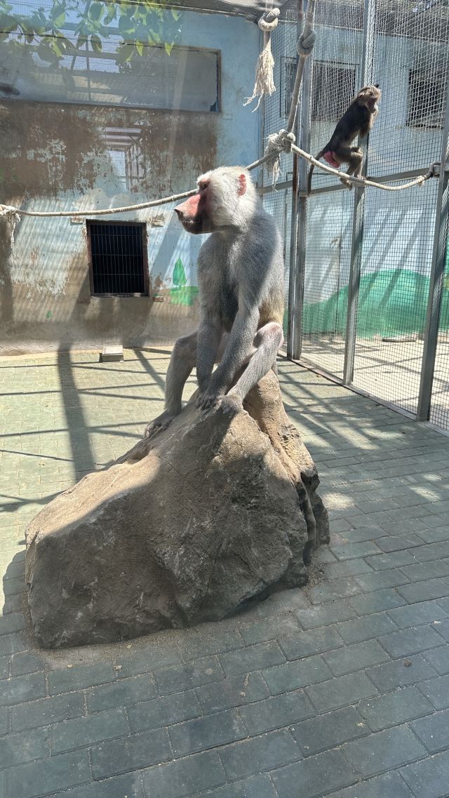 宝山前野生动物园旅行图片 5