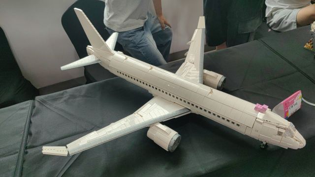 枫泾古镇旅行图片 6