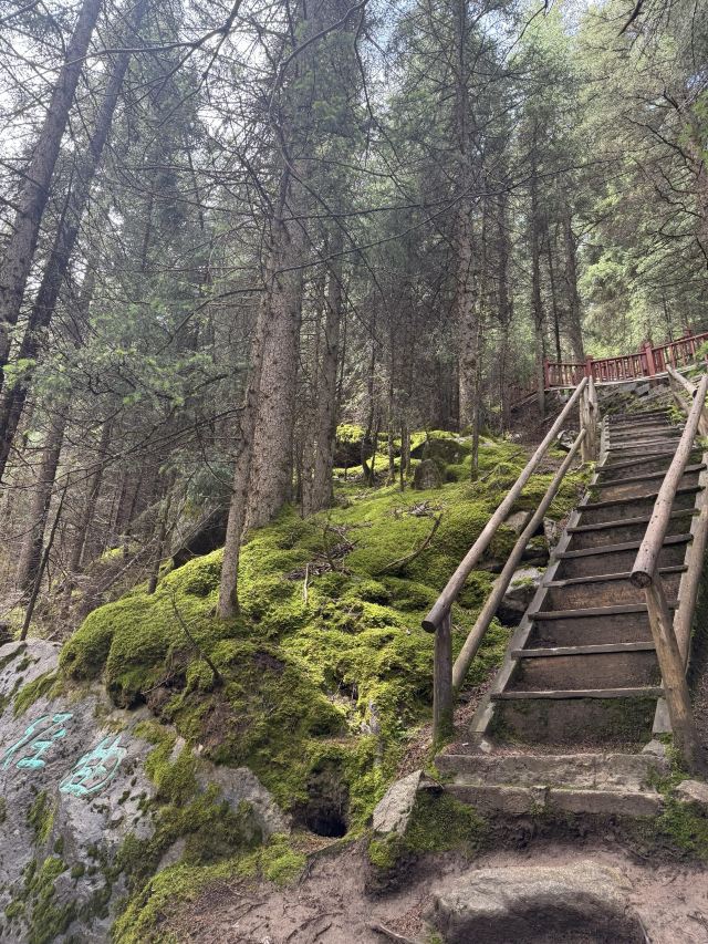 焉支山(暂停开放)旅行图片 9