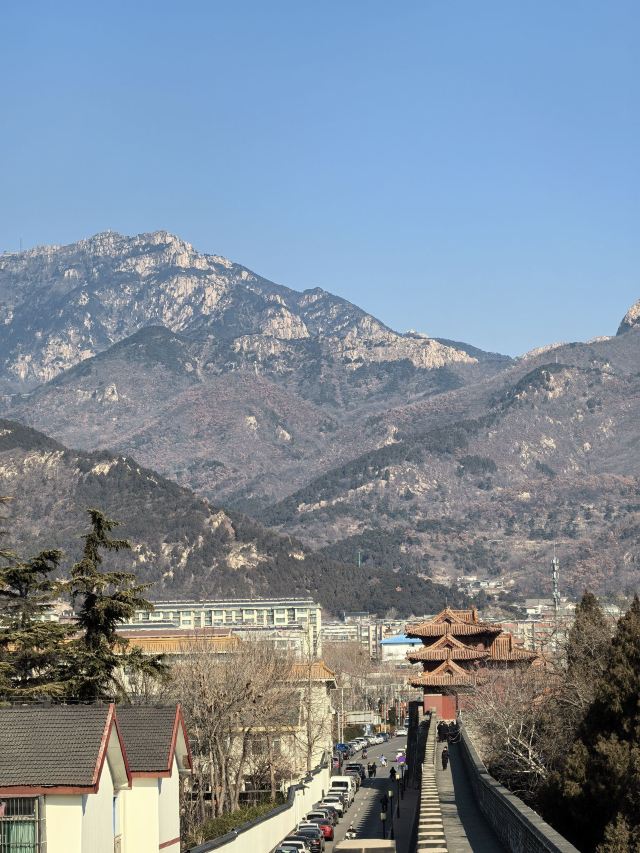岱庙旅行图片 1