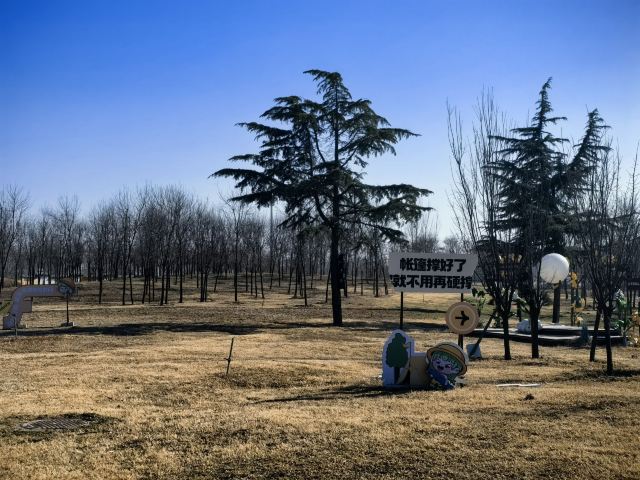 郑州黄河文化公园旅行图片 4