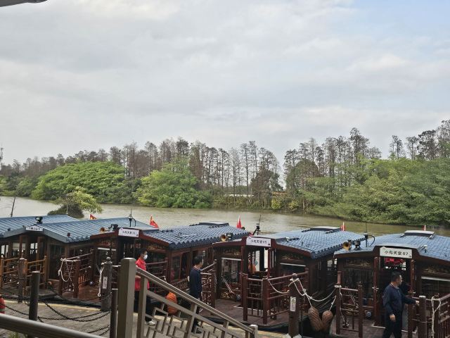 小鸟天堂旅行图片 1