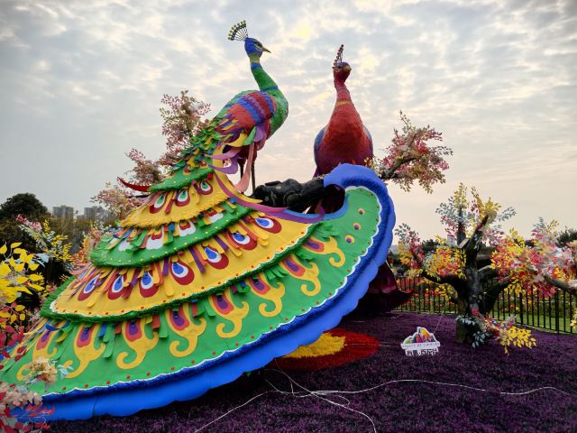 音乐·百花谷旅行图片 3