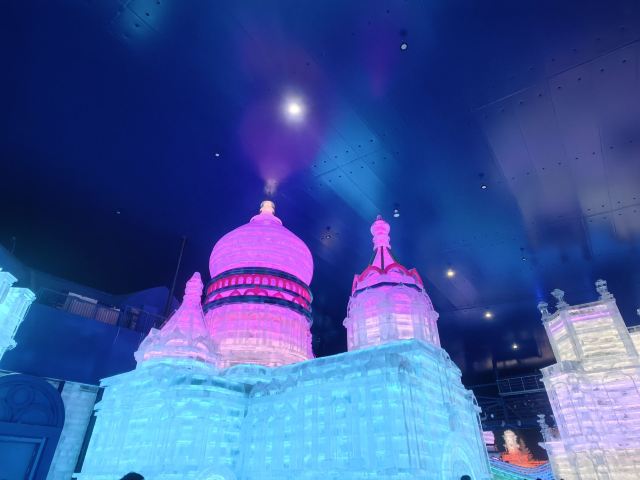 哈尔滨冰雪大世界文创旗舰店旅行图片 9
