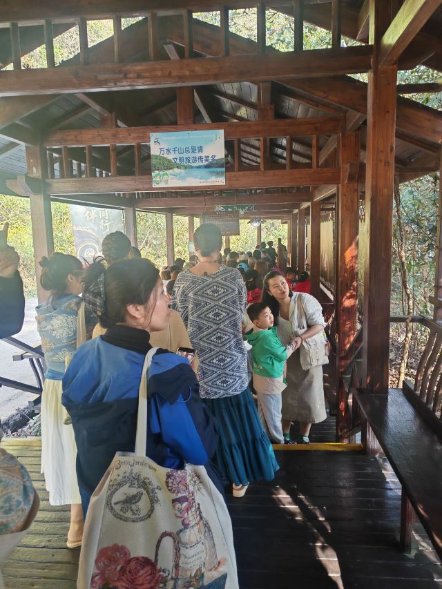 普洱太阳河森林公园旅行图片 2