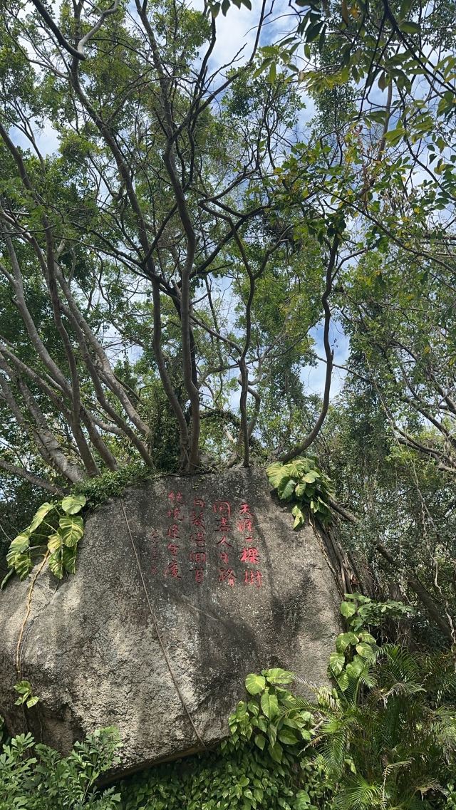 天涯海角游览区旅行图片 6