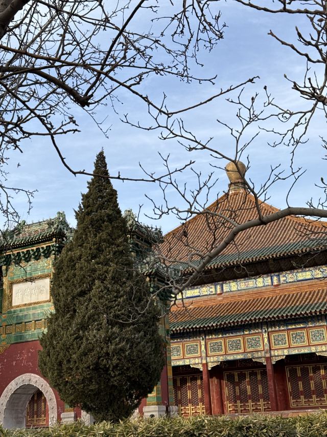 北海公园旅行图片 2