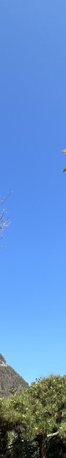 武当山风景区-丹江口-YoYo_9K6H3T4W