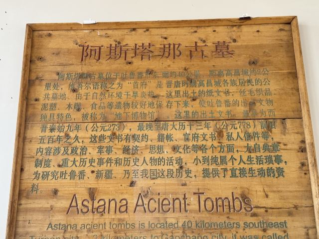 阿斯塔那古墓群(暂停开放)旅行图片 9