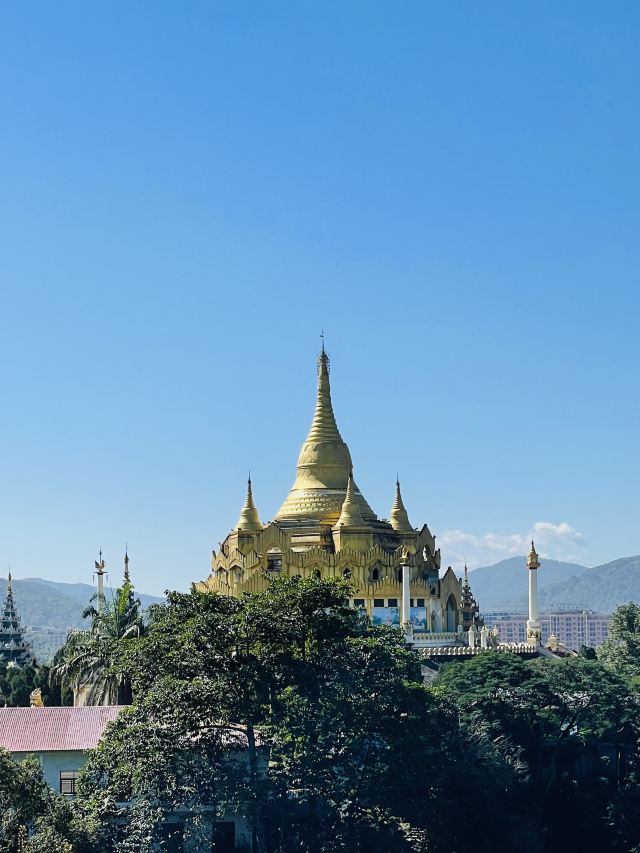 西双版纳独树成林景区旅行图片 1