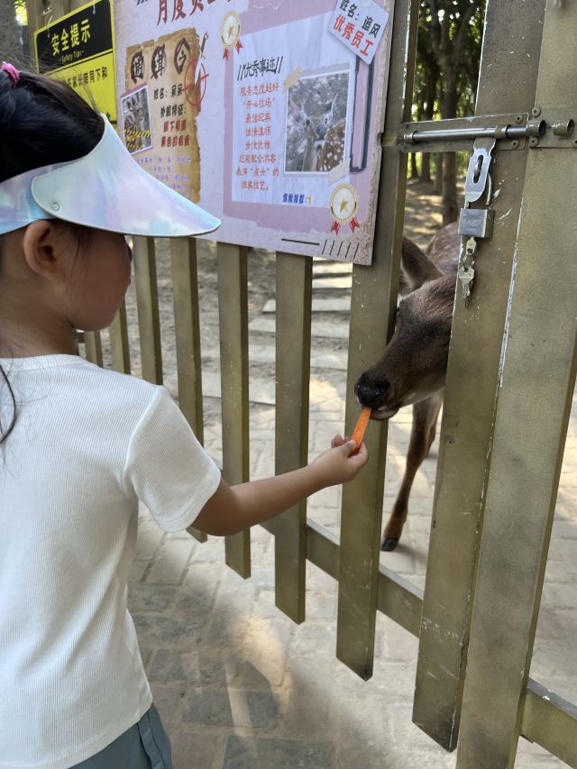 森灵欢乐世界旅行图片 2
