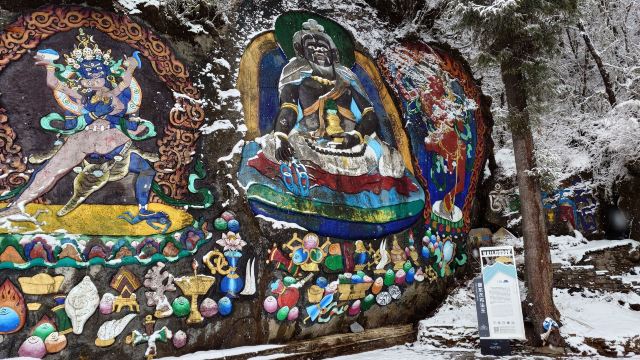 成都植物园旅行图片 2