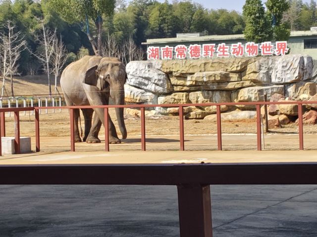 湖南常德野生动物世界旅行图片 1