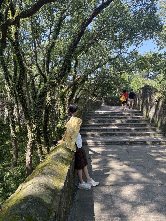 台州府城文化旅游区旅行图片 2