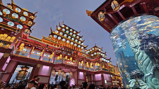 青岛明月·山海间旅行图片 9