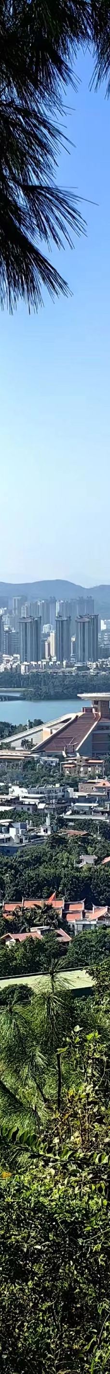 清源山-泉州-猪村肥河马