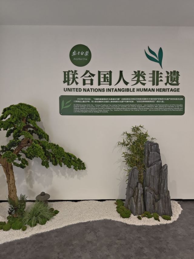 宋茗茶博园旅行图片 3