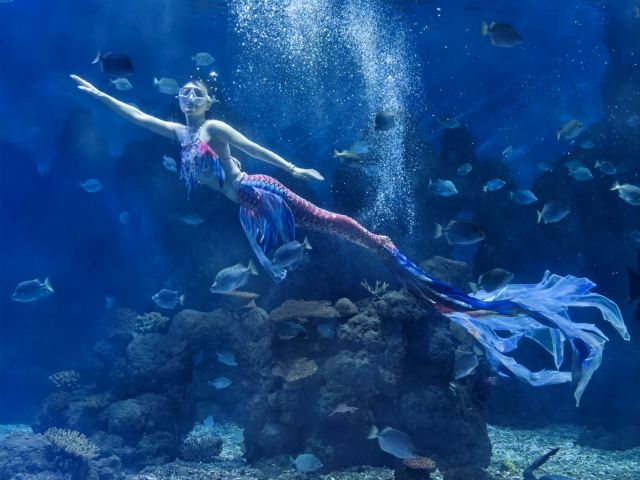 广汉海昌海洋探索馆旅行图片 1