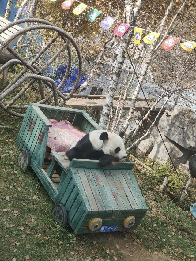 林胡古塞旅行图片 2