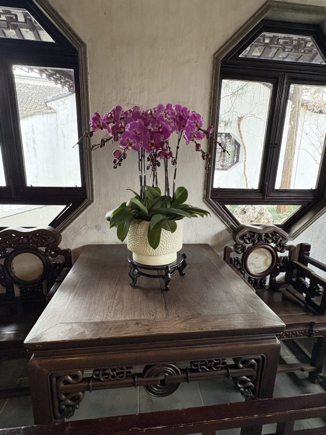怡园旅行图片 2