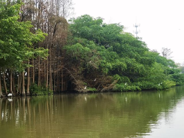 小鸟天堂旅行图片 4