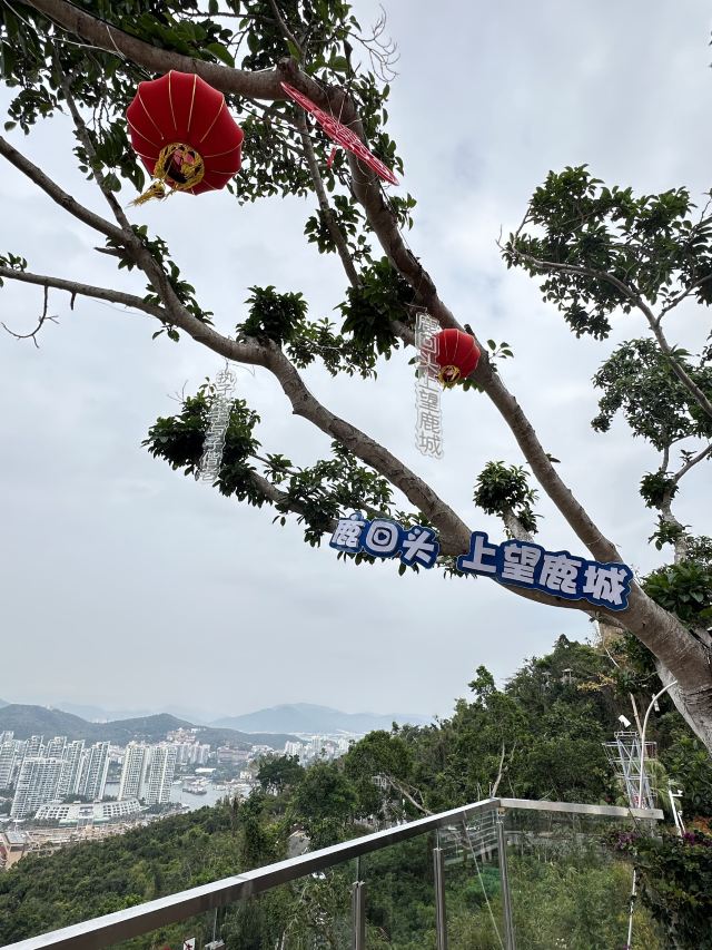 鹿回头风景区旅行图片 8