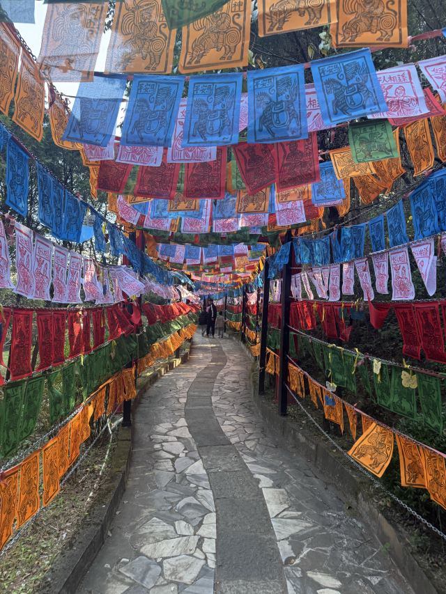蝴蝶泉旅行图片 3