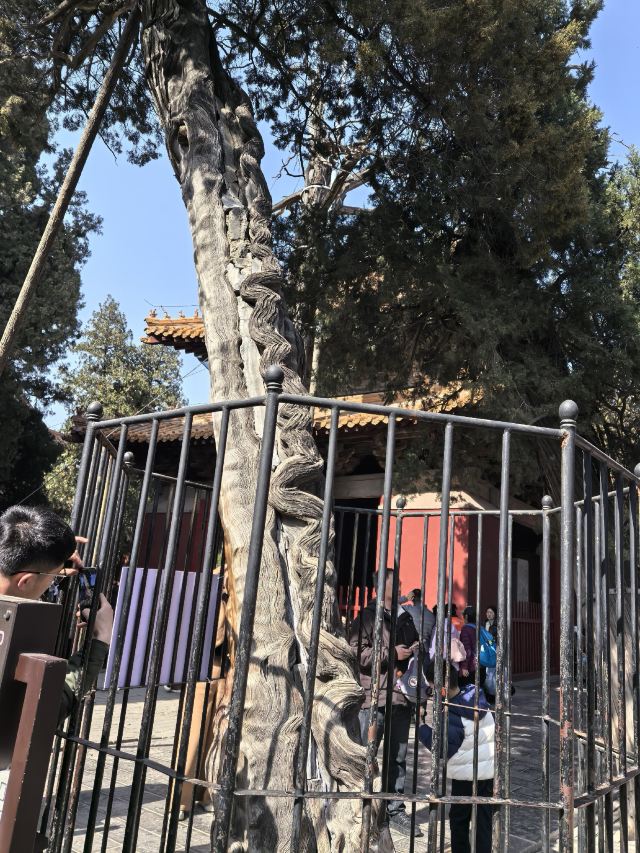 孔庙旅行图片 2
