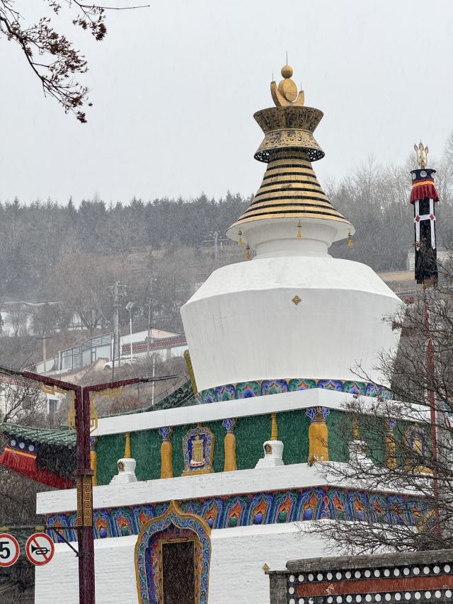 塔尔寺旅行图片 4