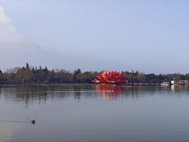 隋唐城遗址植物园旅行图片 8