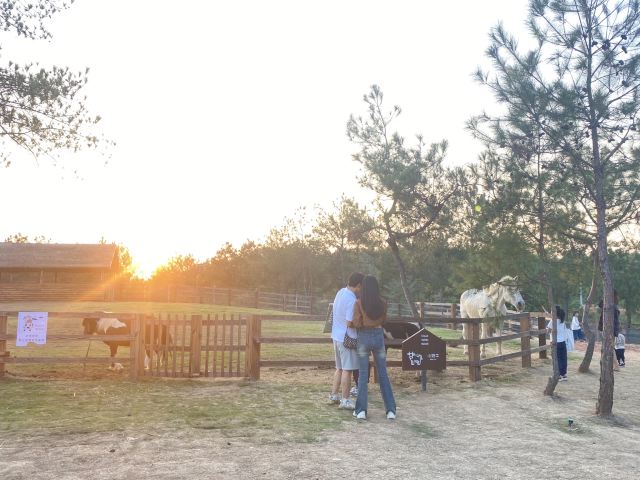 云天麓谷景区旅行图片 2