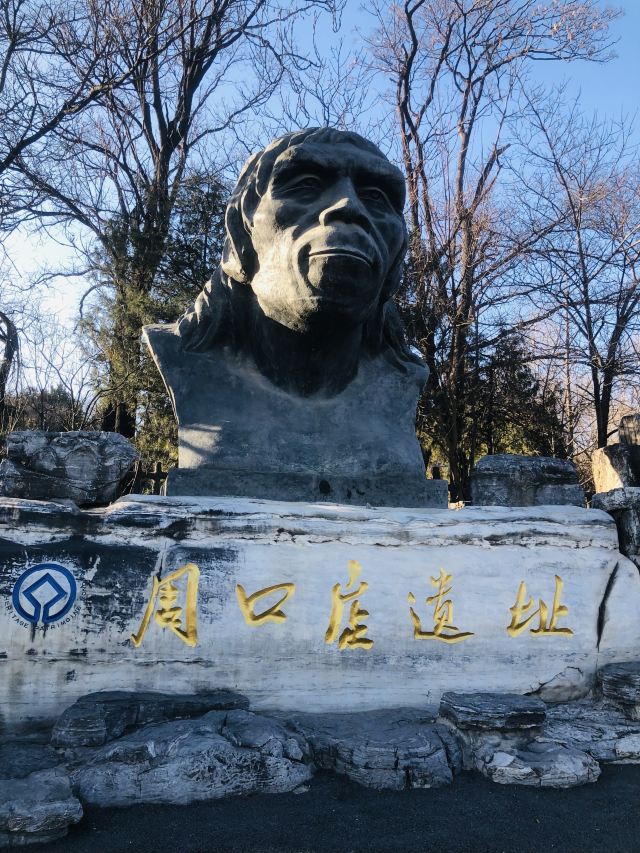 周口店遗址-北京猿人遗址旅行图片 1