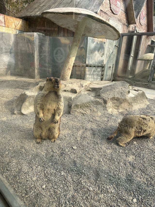 杉木湖景区旅行图片 9