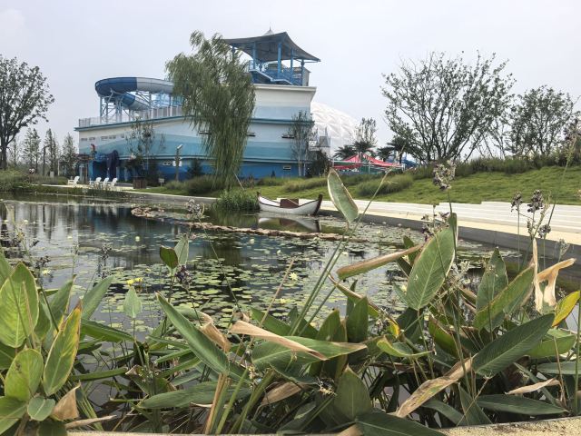东方伊甸园旅行图片 4