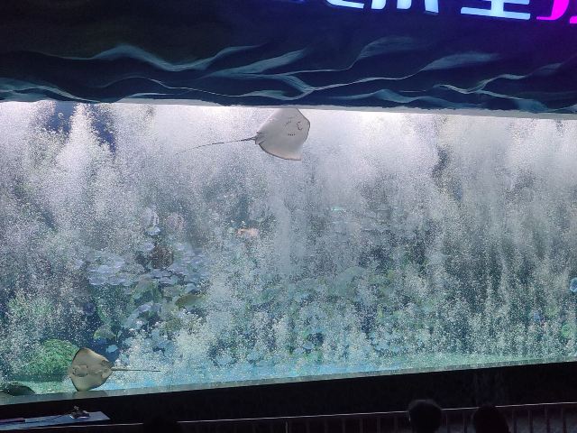 徐州欧乐堡海洋极地世界旅行图片 7