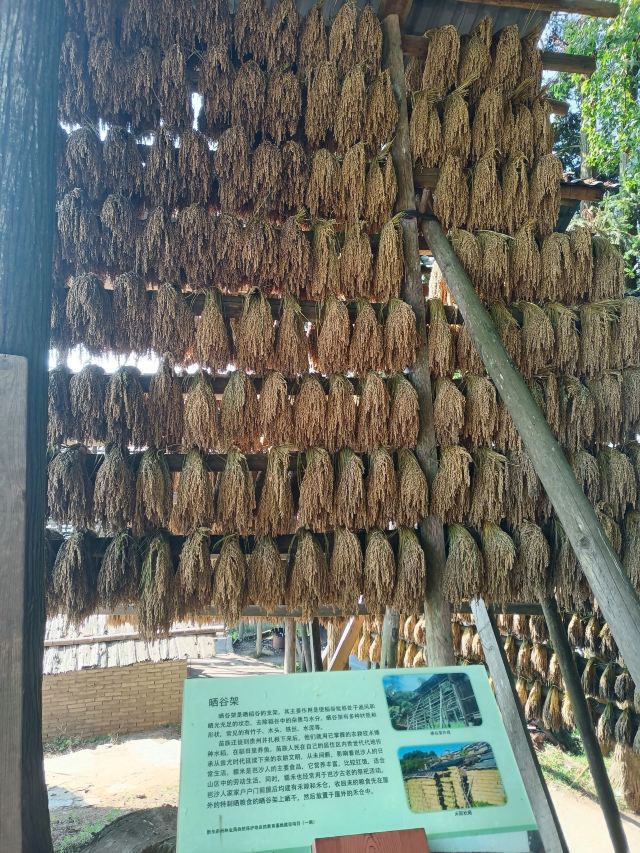 岜沙苗寨旅行图片 4