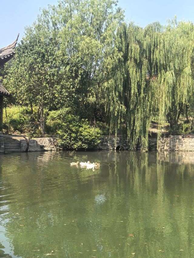 湖州影视城旅行图片 5
