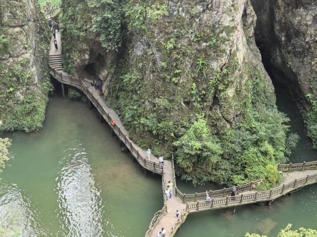 洒金公园旅行图片 1