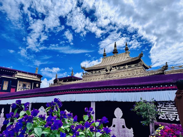 布达拉宫旅行图片 2