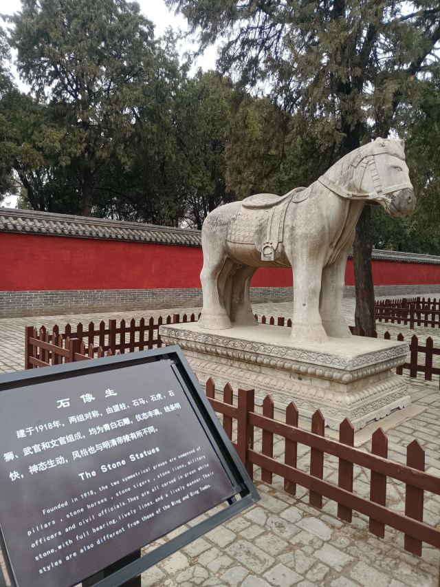 袁林旅行图片 4