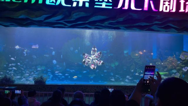 徐州欧乐堡海洋极地世界旅行图片 1
