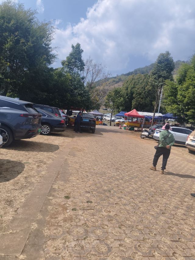 鸡足山旅行图片 4