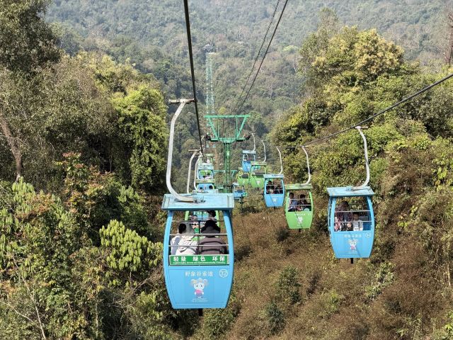 野象谷景区旅行图片 3