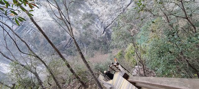 张家界大峡谷旅行图片 4