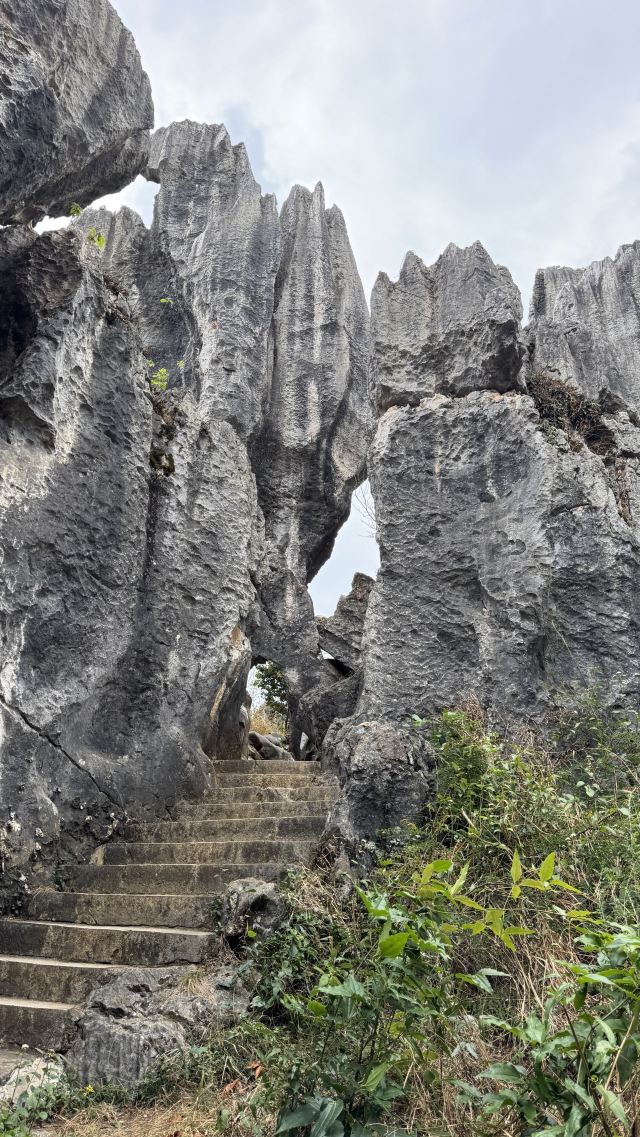 石林风景区旅行图片 5