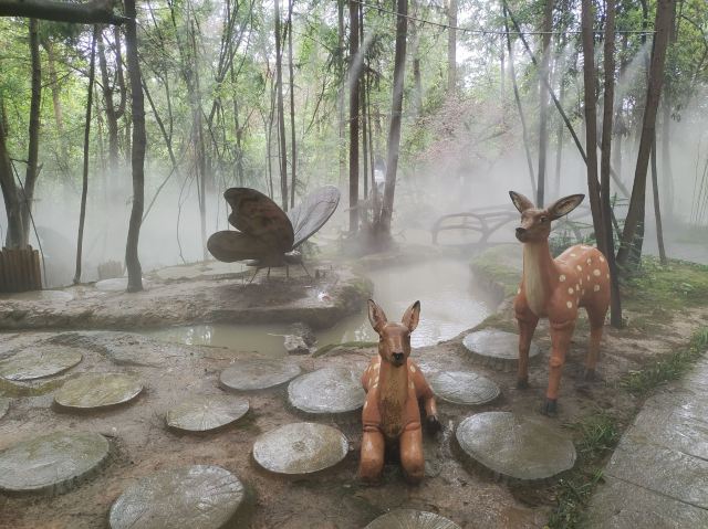 杉木湖景区旅行图片 2