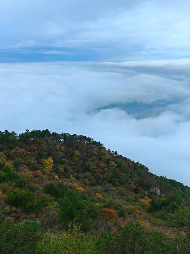 天岳幕阜山森林公园旅行图片 5